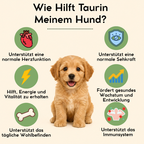 Taurin für Hunde - DE