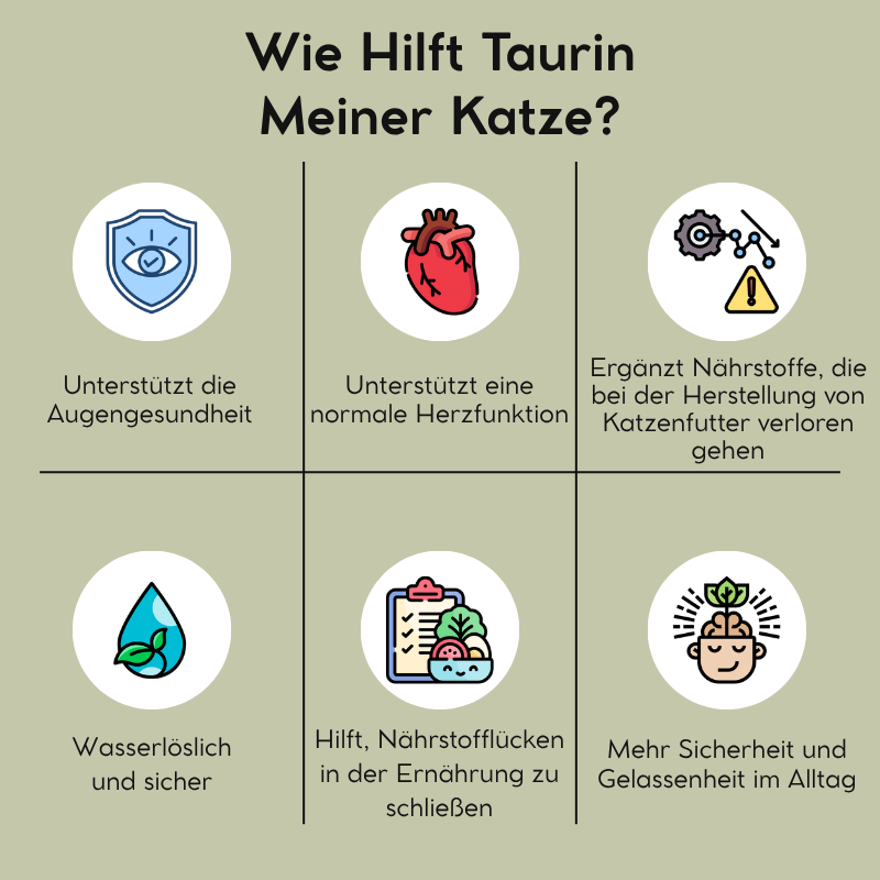 DE - Petnari Taurin für Katzen