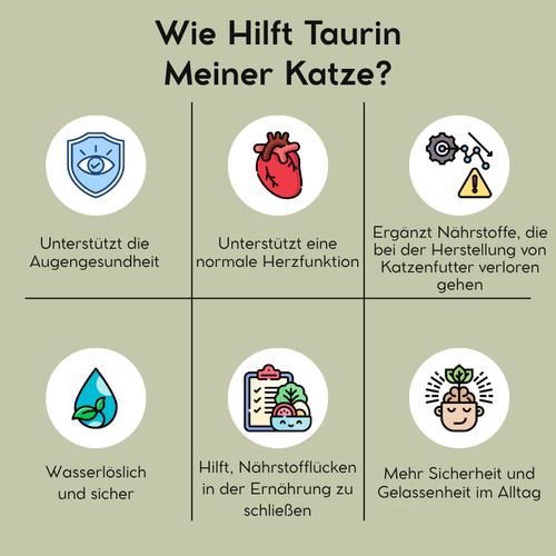 DE - Petnari Taurin für Katzen